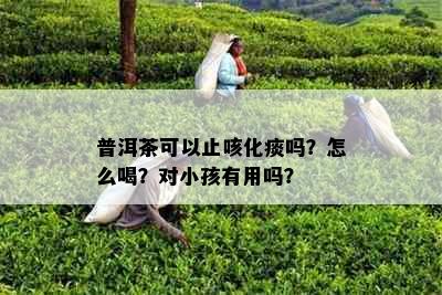 普洱茶可以止咳化痰吗？怎么喝？对小孩有用吗？