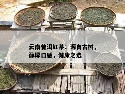 云南普洱红茶：源自古树，醇厚口感，健康之选