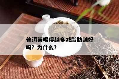 普洱茶喝得越多减脂肪越好吗？为什么？