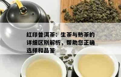 红印普洱茶：生茶与熟茶的详细区别解析，帮助您正确选择和品鉴