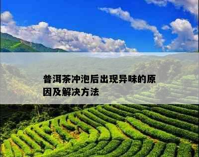 普洱茶冲泡后出现异味的原因及解决方法