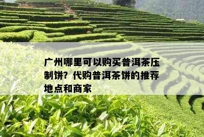 广州哪里可以购买普洱茶压制饼？代购普洱茶饼的推荐地点和商家