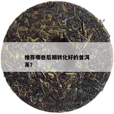 推荐哪些后期转化好的普洱茶？