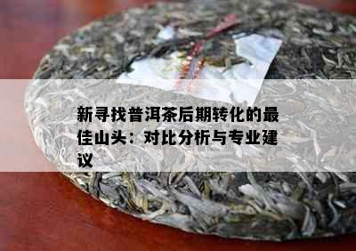 新寻找普洱茶后期转化的更佳山头：对比分析与专业建议