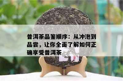 普洱茶品鉴顺序：从冲泡到品尝，让你全面了解如何正确享受普洱茶