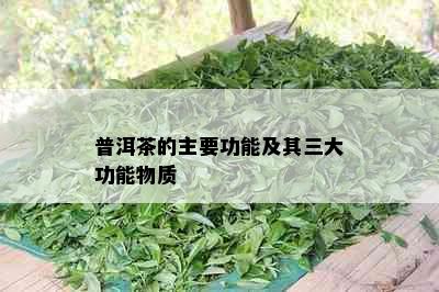 普洱茶的主要功能及其三大功能物质