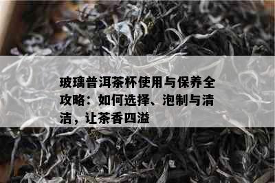 玻璃普洱茶杯使用与保养全攻略：如何选择、泡制与清洁，让茶香四溢