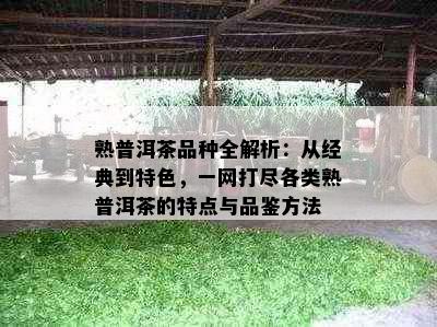 熟普洱茶品种全解析：从经典到特色，一网打尽各类熟普洱茶的特点与品鉴方法