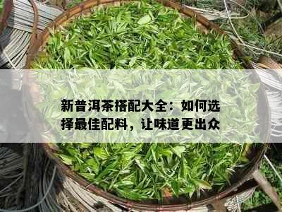 新普洱茶搭配大全：如何选择更佳配料，让味道更出众