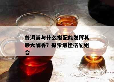 普洱茶与什么搭配能发挥其更大醇香？探索更佳搭配组合