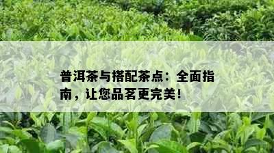 普洱茶与搭配茶点：全面指南，让您品茗更完美！