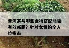 普洱茶与哪些食物搭配能更有效减肥？针对女性的全方位指南