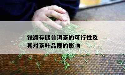 铁罐存储普洱茶的可行性及其对茶叶品质的影响