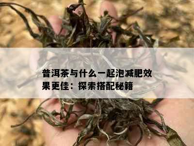 普洱茶与什么一起泡减肥效果更佳：探索搭配秘籍