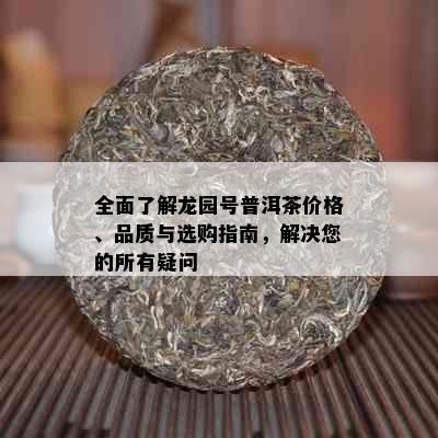 全面了解龙园号普洱茶价格、品质与选购指南，解决您的所有疑问