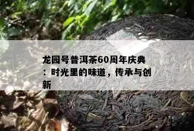 龙园号普洱茶60周年庆典：时光里的味道，传承与创新