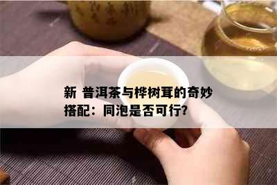 新 普洱茶与桦树茸的奇妙搭配：同泡是否可行？