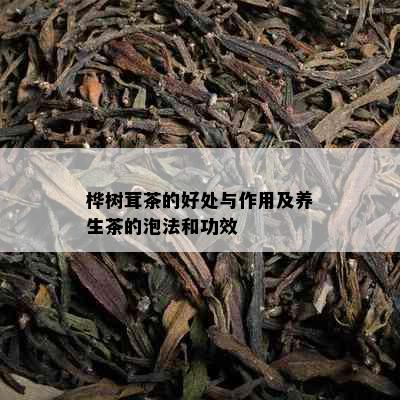 桦树茸茶的好处与作用及养生茶的泡法和功效