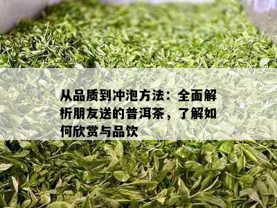 从品质到冲泡方法：全面解析朋友送的普洱茶，了解如何欣赏与品饮