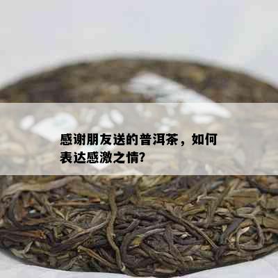 感谢朋友送的普洱茶，如何表达感激之情？