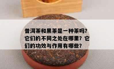 普洱茶和黑茶是一种茶吗？它们的不同之处在哪里？它们的功效与作用有哪些？