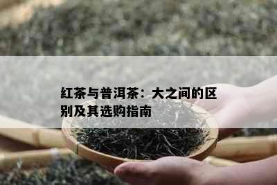 红茶与普洱茶：大之间的区别及其选购指南