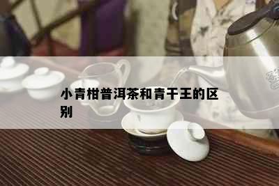 小青柑普洱茶和青干王的区别