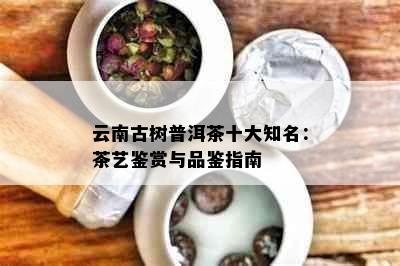 云南古树普洱茶十大知名：茶艺鉴赏与品鉴指南