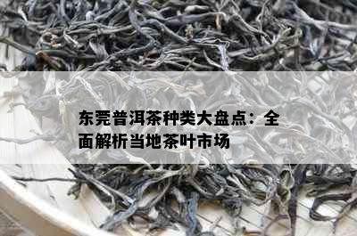 东莞普洱茶种类大盘点：全面解析当地茶叶市场