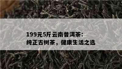 199元5斤云南普洱茶：纯正古树茶，健康生活之选