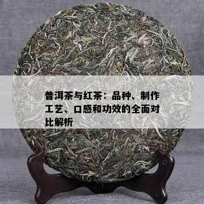 普洱茶与红茶：品种、制作工艺、口感和功效的全面对比解析