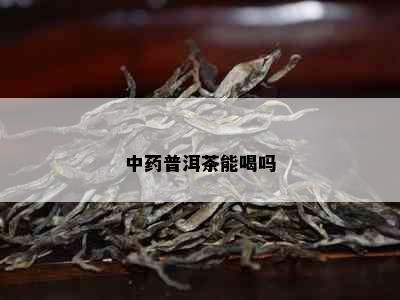 中普洱茶能喝吗