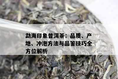 勐海印象普洱茶：品质、产地、冲泡方法与品鉴技巧全方位解析