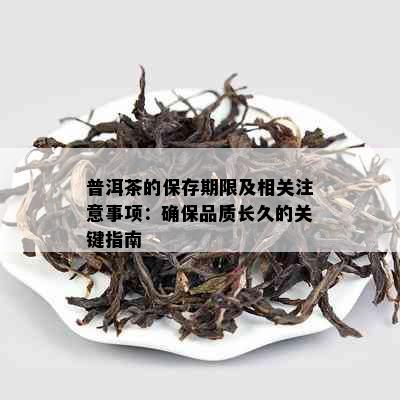 普洱茶的保存期限及相关注意事项：确保品质长久的关键指南