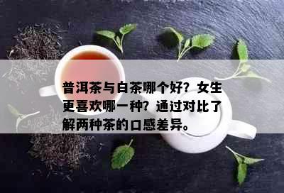 普洱茶与白茶哪个好？女生更喜欢哪一种？通过对比了解两种茶的口感差异。