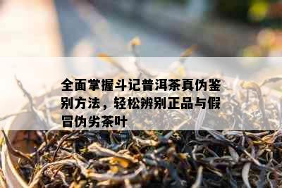 全面掌握斗记普洱茶真伪鉴别方法，轻松辨别正品与假冒伪劣茶叶