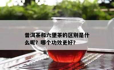 普洱茶和六堡茶的区别是什么呢？哪个功效更好？