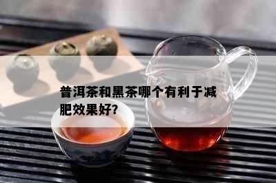 普洱茶和黑茶哪个有利于减肥效果好？