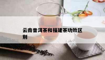 云南普洱茶和福建茶功效区别