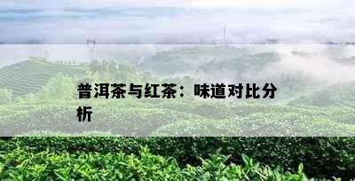 普洱茶与红茶：味道对比分析