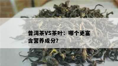 普洱茶VS茶叶：哪个更富含营养成分？