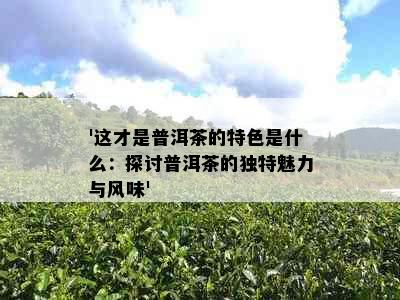 '这才是普洱茶的特色是什么：探讨普洱茶的独特魅力与风味'