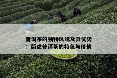 普洱茶的独特风味及其优势：简述普洱茶的特色与价值