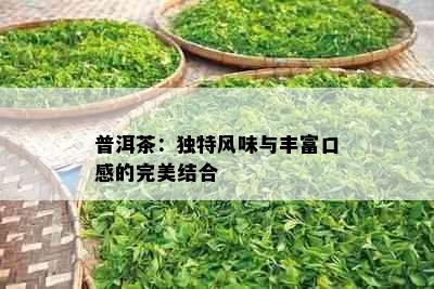 普洱茶：独特风味与丰富口感的完美结合