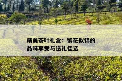 精美茶叶礼盒：繁花似锦的品味享受与送礼佳选