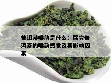 普洱茶喉韵是什么：探究普洱茶的喉韵感觉及其影响因素