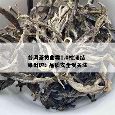 普洱茶黄曲霉1.0检测结果出炉：品质安全受关注