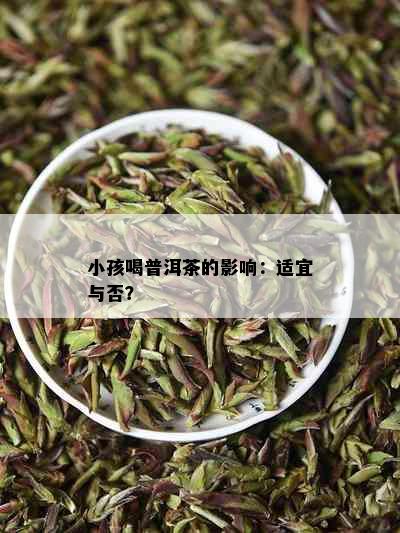 小孩喝普洱茶的影响：适宜与否？