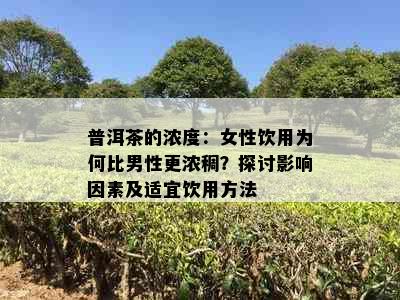 普洱茶的浓度：女性饮用为何比男性更浓稠？探讨影响因素及适宜饮用方法