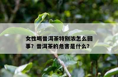 女性喝普洱茶特别浓怎么回事？普洱茶的危害是什么？